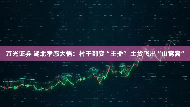 万光证券 湖北孝感大悟：村干部变“主播” 土货飞出“山窝窝”