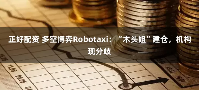 正好配资 多空博弈Robotaxi：“木头姐”建仓，机构现分歧