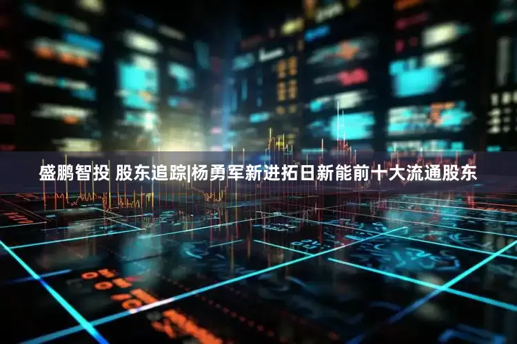 盛鹏智投 股东追踪|杨勇军新进拓日新能前十大流通股东