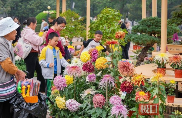 涌融优配 武汉市第42届金秋菊展开展，17个展区邀市民共赏秋日芳华
